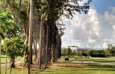 Golf Barrier Netting Install, Miami Beach