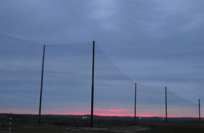 Sunset view of the completed Golf Barrier Netting Install