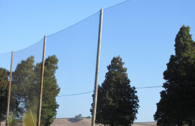 Hardware & Netting Replacement – Eagle Vines Golf Club, CA