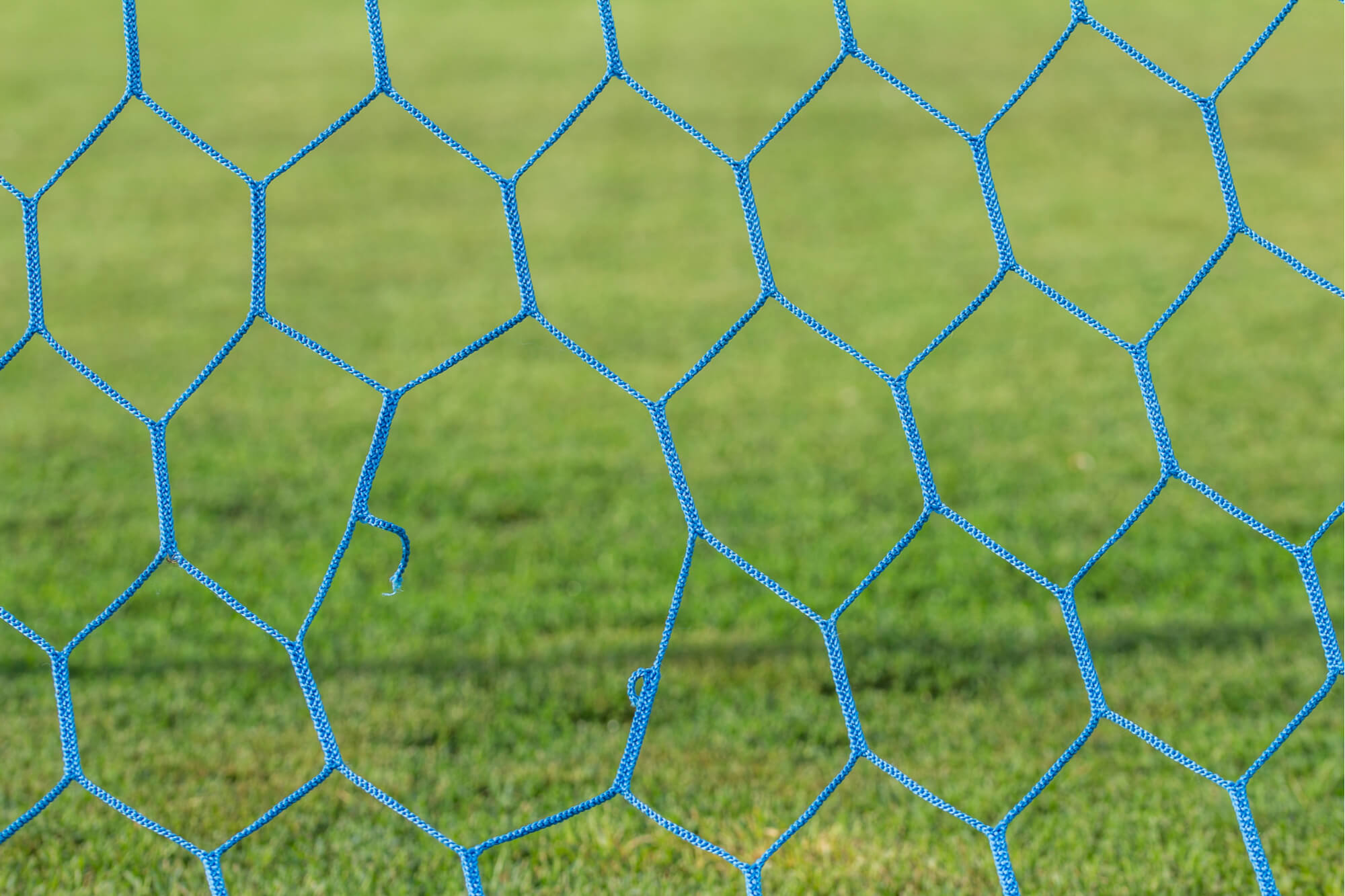 Why It’s Important to Check the Integrity of Your Nets GRN